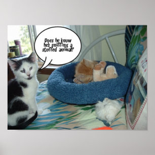 Black and White Cat Poster