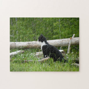 Black And White Cat Puzzle