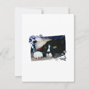 Black and white cat , santa hat, tinsel and a paw holiday card