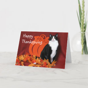Black and White Cat Says Happy Thanksgiving Card
