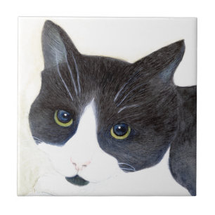 Black and White Cat Tile
