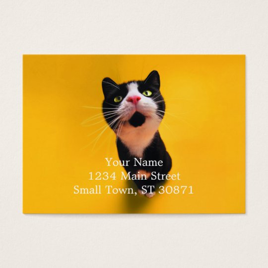 Black and white cat-tuxedo cat-pet kitten-pet cat business card