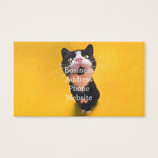 Black and white cat-tuxedo cat-pet kitten-pet cat business card