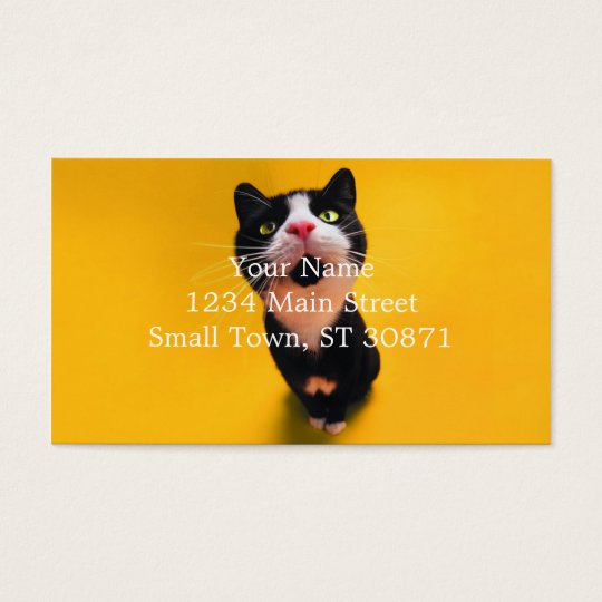 Black and white cat-tuxedo cat-pet kitten-pet cat business card