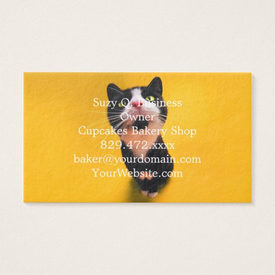 Black and white cat-tuxedo cat-pet kitten-pet cat business card