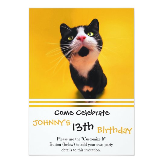 Black and white cat-tuxedo cat-pet kitten-pet cat card