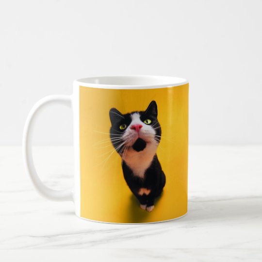Black and white cat-tuxedo cat-pet kitten-pet cat coffee mug