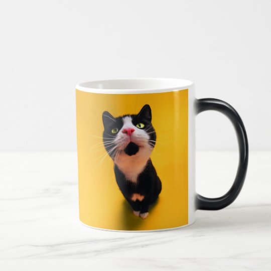 Black and white cat-tuxedo cat-pet kitten-pet cat magic mug