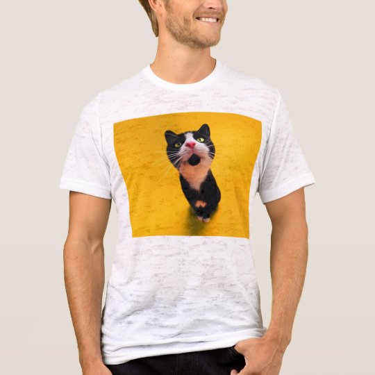 Black and white cat-tuxedo cat-pet kitten-pet cat T-Shirt