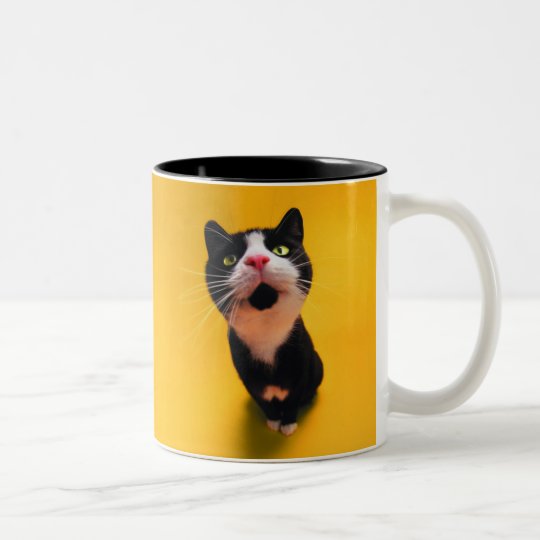 Black and white cat-tuxedo cat-pet kitten-pet cat Two-Tone coffee mug