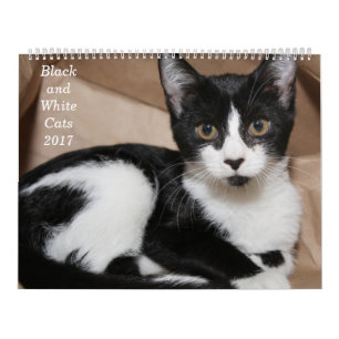 BLACK AND WHITE CATS 2017 CALENDAR