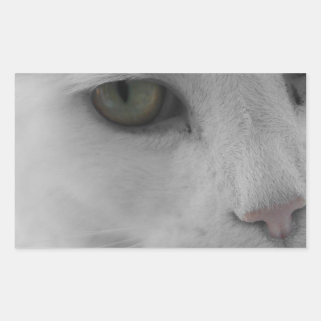 Black and white cats face sticker (Front)