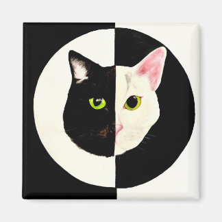 Black and white cats face yin and yang magnet