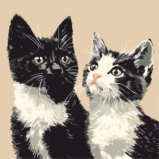 Black and White Cats iPhone / iPad case