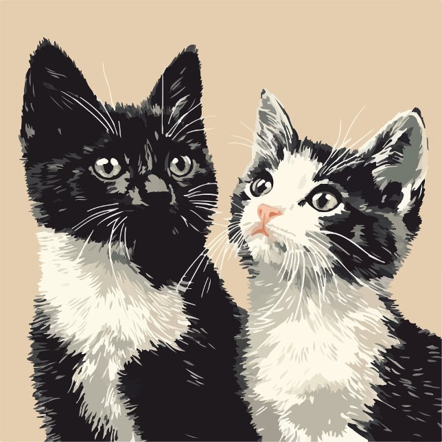 Black and White Cats iPhone / iPad case (Creator Uploaded)