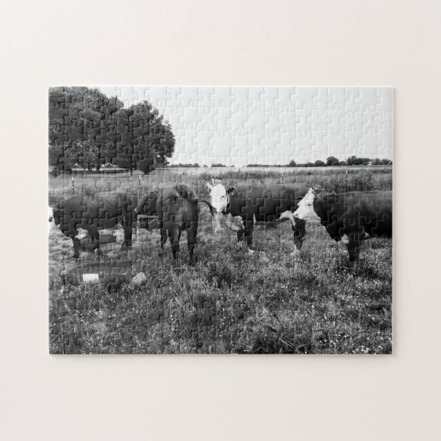 Black and White Cattle Photo Jigsaw Puzzle (Horizontal)