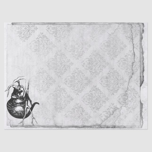Black and White Cheshire Cat Alice in Wonderland Tissue Paper (Front)