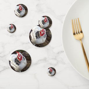Black And White Chicken Freckles, Confetti