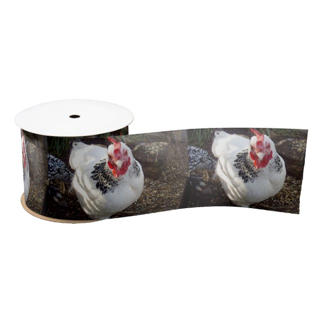Black And White Chicken Freckles, Satin Ribbon (Spool)