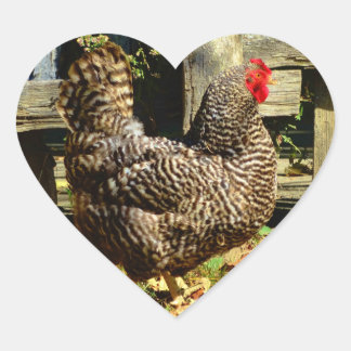 Black and white Chicken Heart Sticker