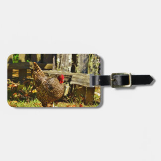Black and white Chicken in farmyard Luggage Tag