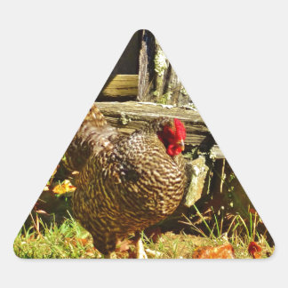Black and white Chicken in farmyard Triangle Sticker