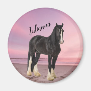 Black and White Clydesdale on the Beach at Sunset  Magnet