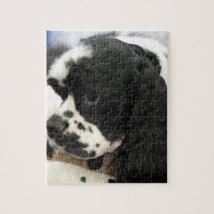 Black and White Cocker Spaniel Puzzle