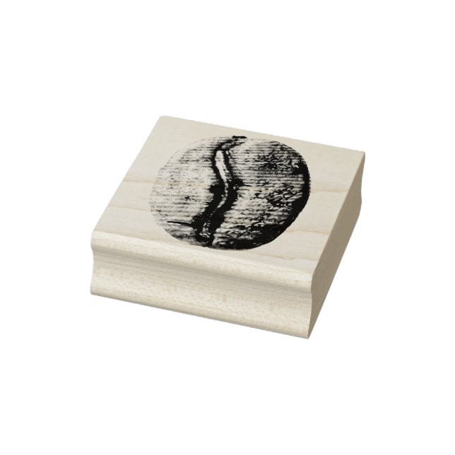 Black and White Coffee Bean Pencil Drawing Rubber Stamp (Stamp)