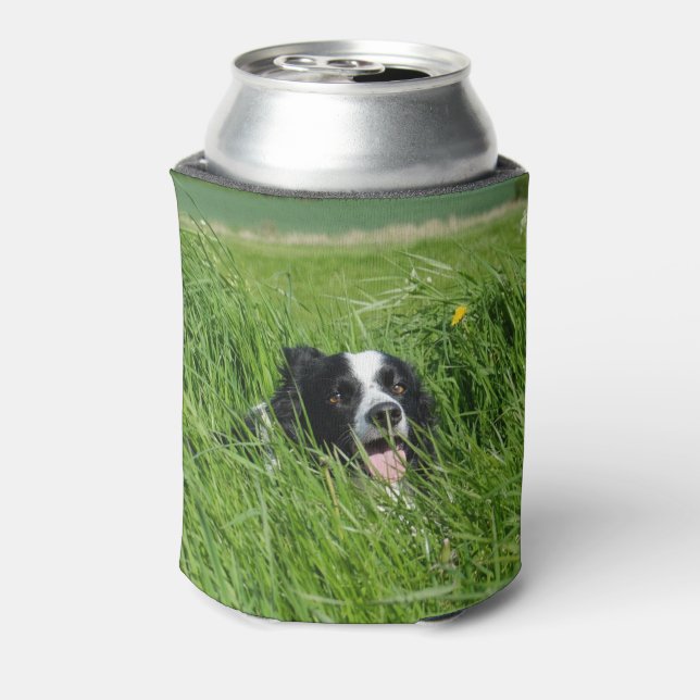 Black and White Collie in Grass Can Cooler (Can Back)