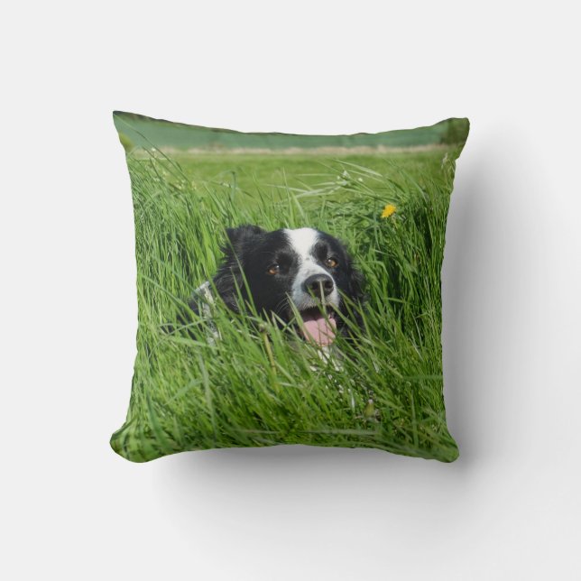 Black and White Collie in Grass Throw Pillow (Front)