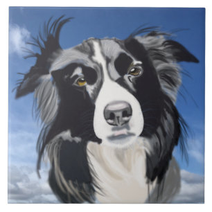 Black and White Collie   Tile