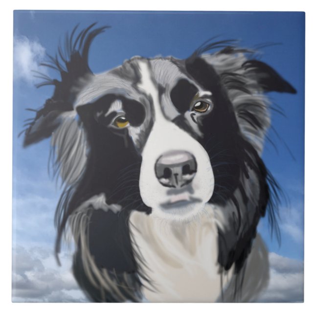 Black and White Collie   Tile (Front)