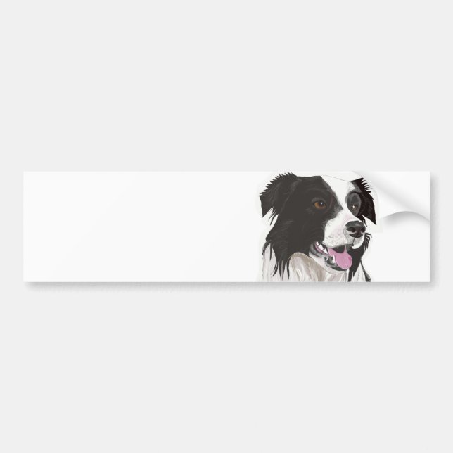 Black and White Collie with Brown eyes Bumper Stic Sticker (Front)