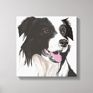 Black and White Collie with Brown Eyes Portrait Canvas Print