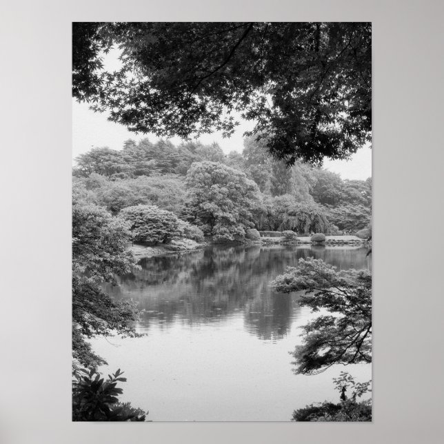 Black and white, cool, unique nature and lake poster (Front)