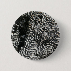 Black and White Coral I Abstract Nature Photo 2 Inch Round Button