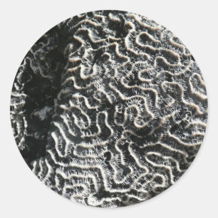 Black and White Coral I Abstract Nature Photo Classic Round Sticker