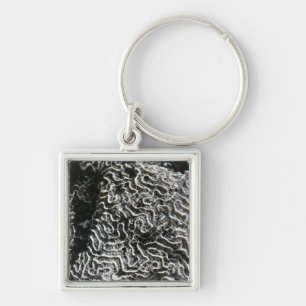 Black and White Coral I Abstract Nature Photo Keychain