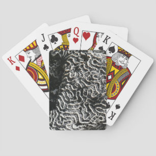 Black and White Coral I Abstract Nature Photo Playing Cards