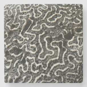 Black and White Coral I Abstract Nature Photo Stone Coaster