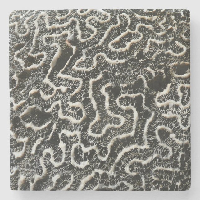 Black and White Coral I Abstract Nature Photo Stone Coaster (Front)
