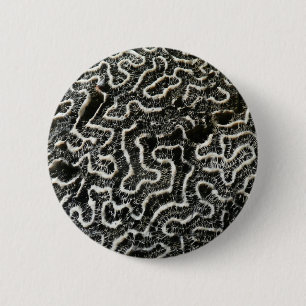 Black and White Coral II Abstract Nature Photo 2 Inch Round Button