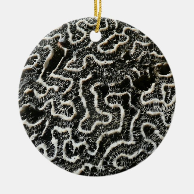 Black and White Coral II Abstract Nature Photo Ceramic Ornament (Front)