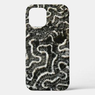 Black and White Coral II Abstract Nature Photo iPhone 12 Case