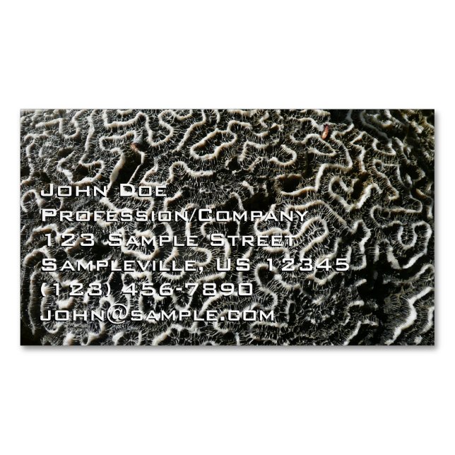 Black and White Coral II Abstract Nature Photo Magnetic Business Card (Front)