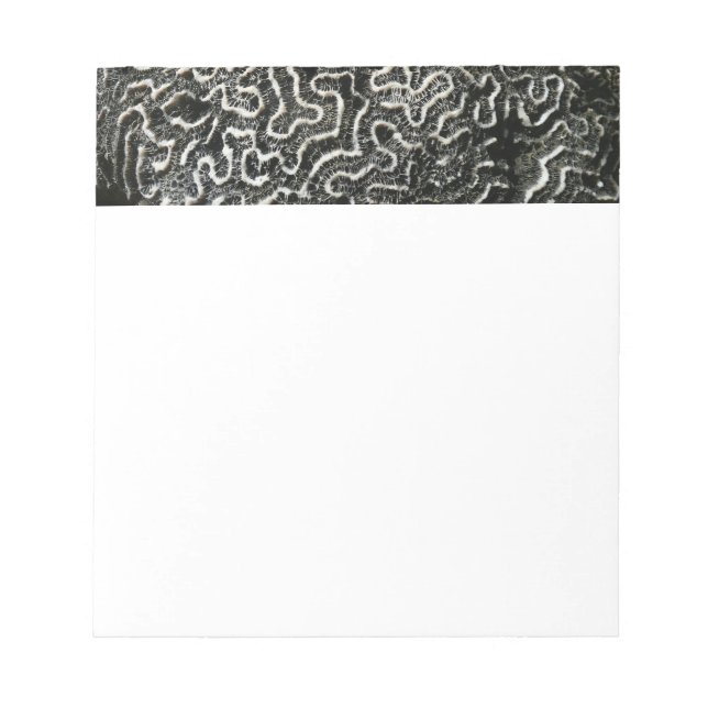 Black and White Coral II Abstract Nature Photo Notepad (Front)