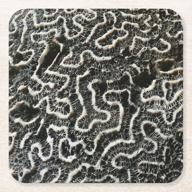 Black and White Coral II Abstract Nature Photo Square Paper Coaster (Front)