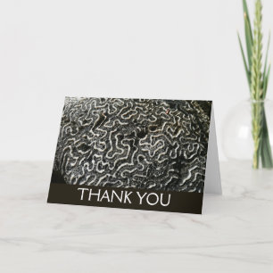 Black and White Coral II Abstract Nature Photo Thank You Card