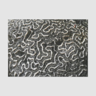 Black and White Coral II Abstract Nature Photo Tissue Paper